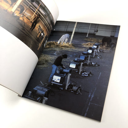 In Fusion: New European Art | Touring exhibition catalogue, 1993 | South Bank/Ikon Gallery