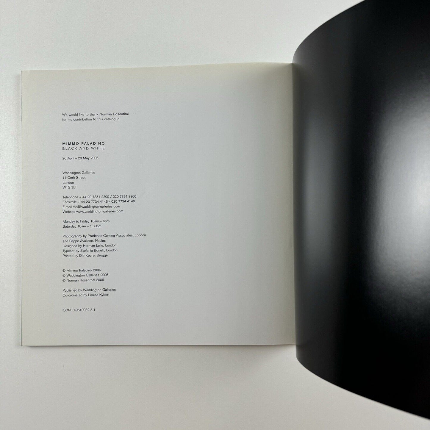 Mimmo Paladino. Black and White | Waddington Galleries, 2006