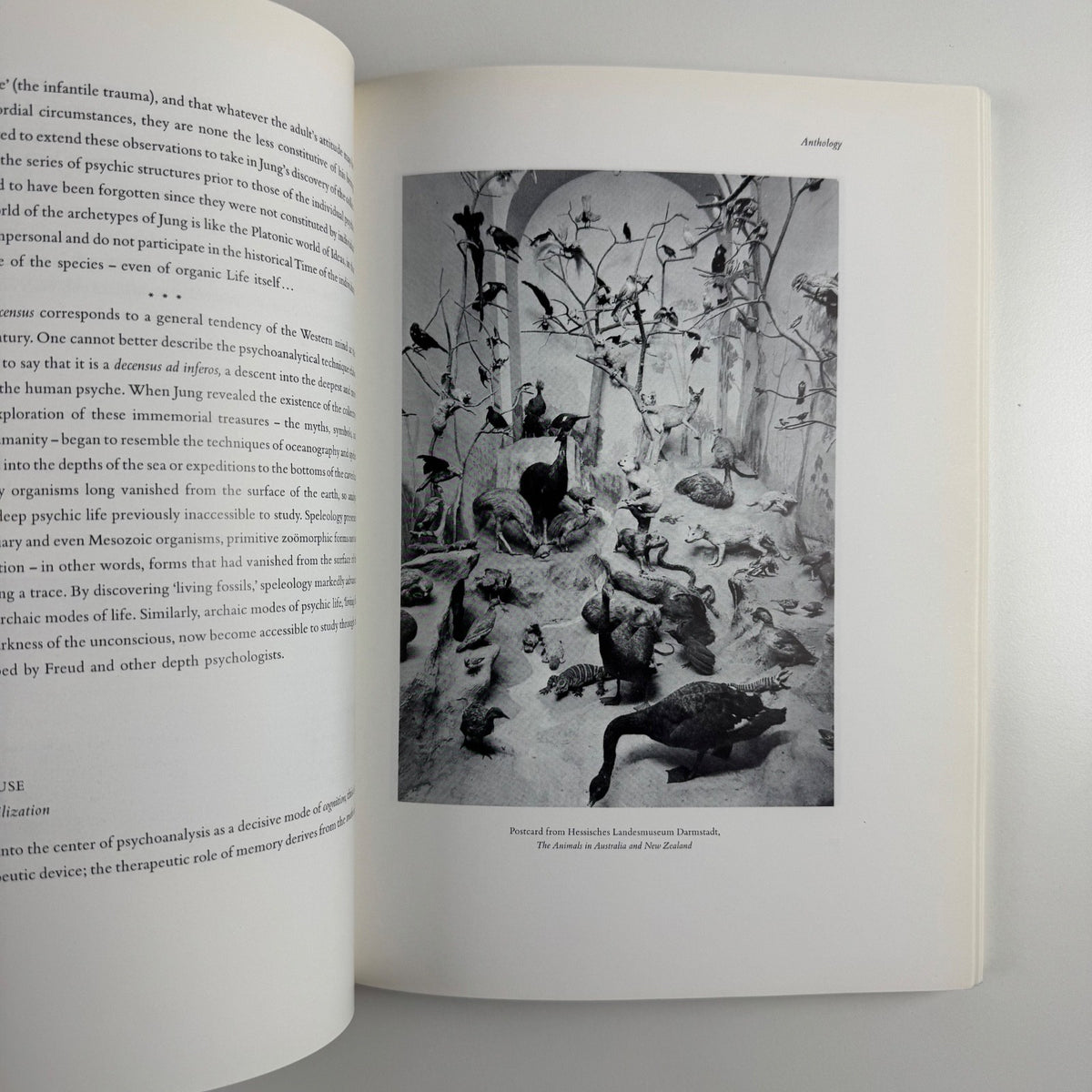 Double Take. Collective Memory & Current Art | Hayward Gallery, 1992