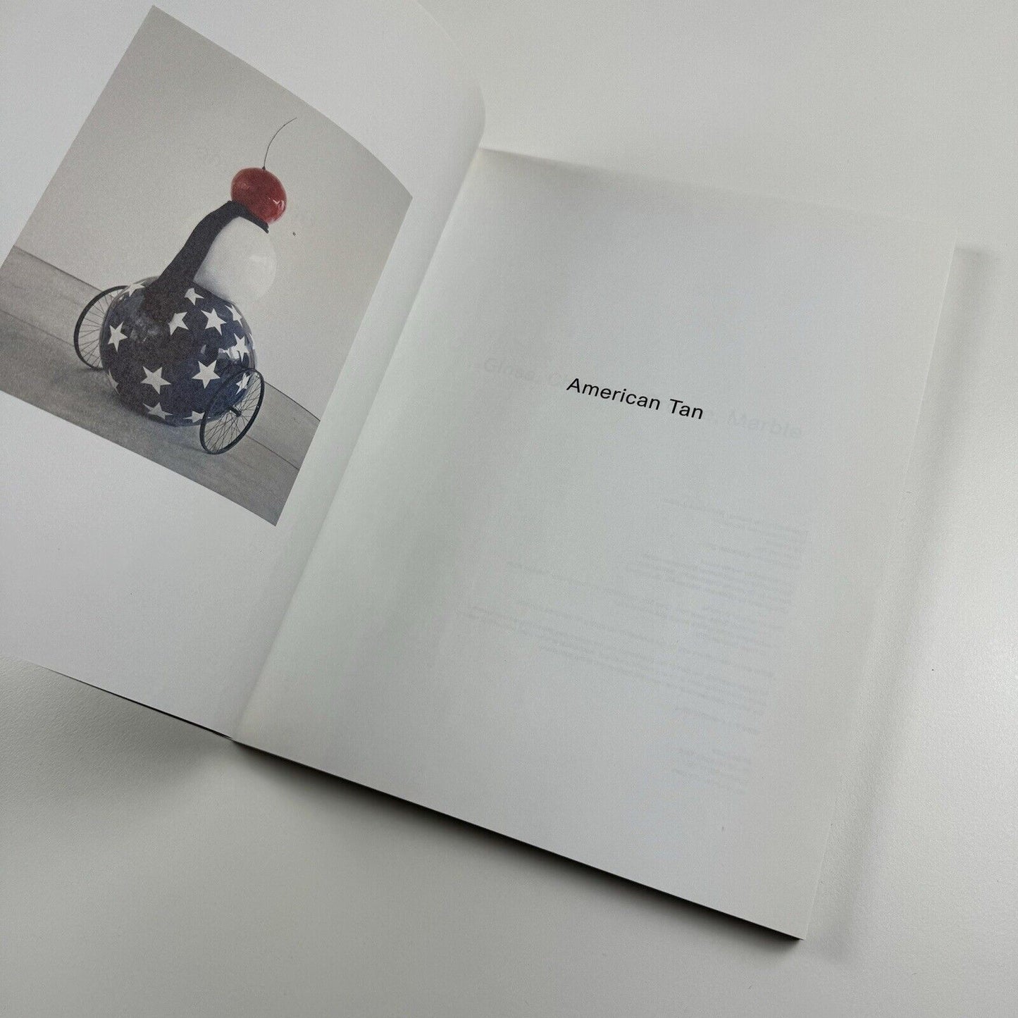 Gary Hume. American Tan | White Cube, London, 2007