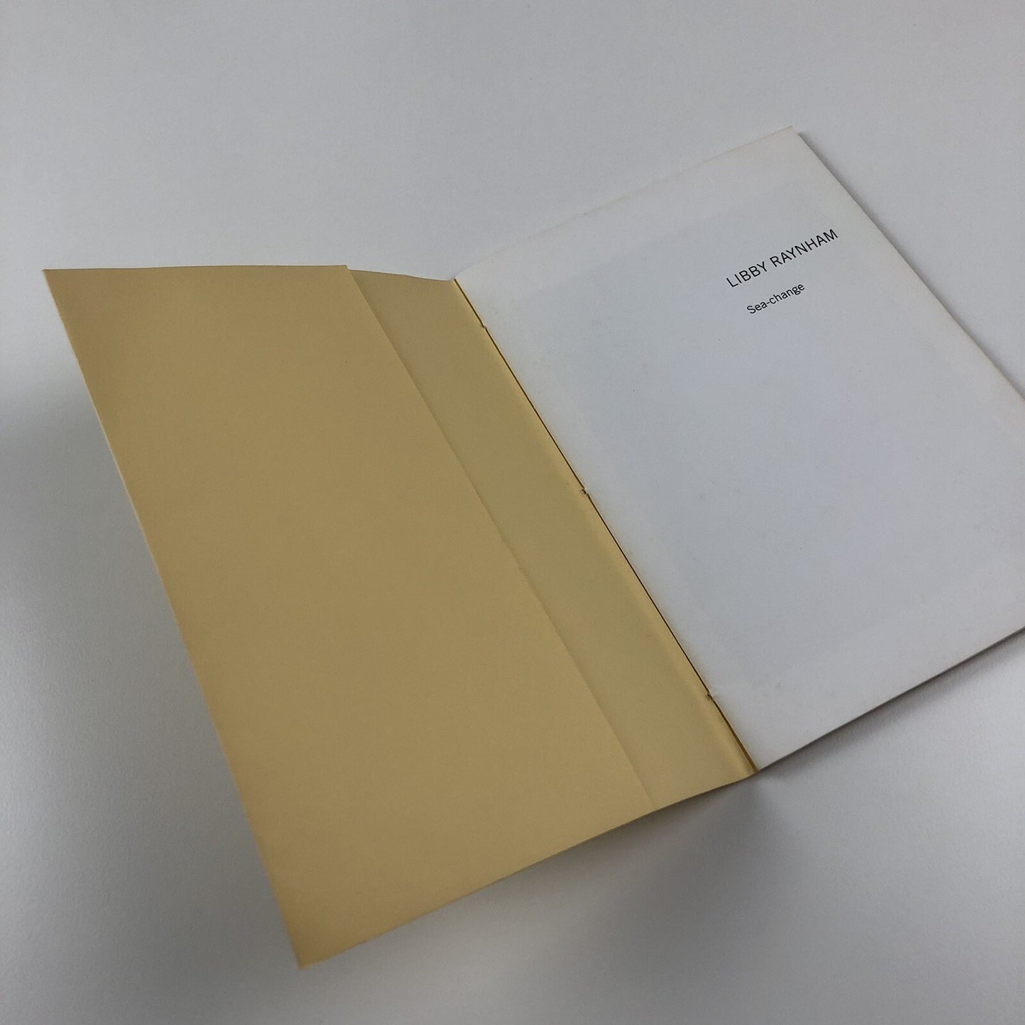Libby Raynham. Sea-change | Susanna Rüegg galerie & poesie 2004 | Signed copy
