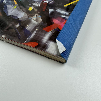 Kristin Baker. Surge and Shadow | Deitch Projects New York 2007 catalogue