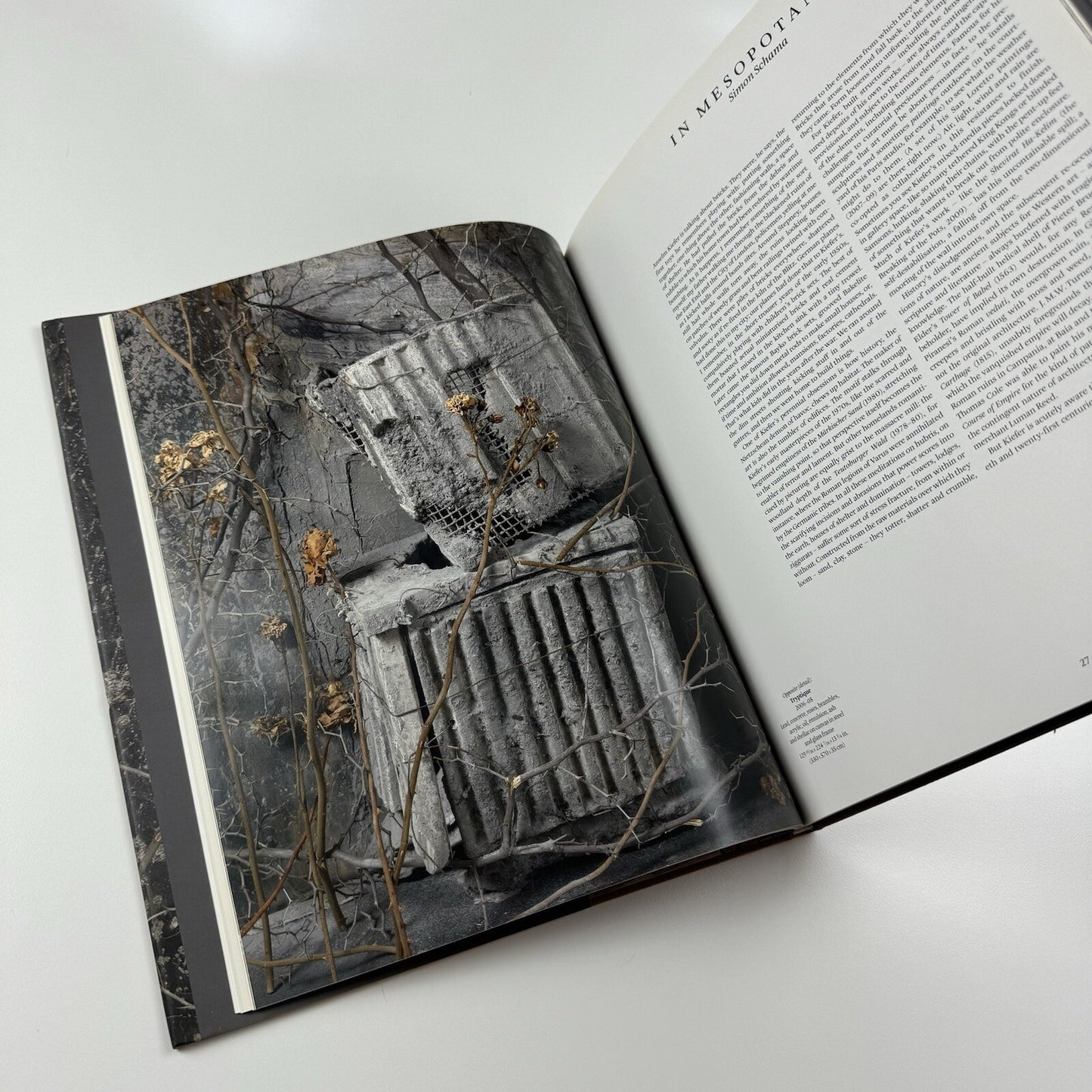 Karfunkelfee. Anselm Kiefer. The Fertile Crescent | White Cube 2009