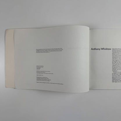 Anthony Whishaw from landscape large paintings since 1980 | Kettle's Yard, 1982