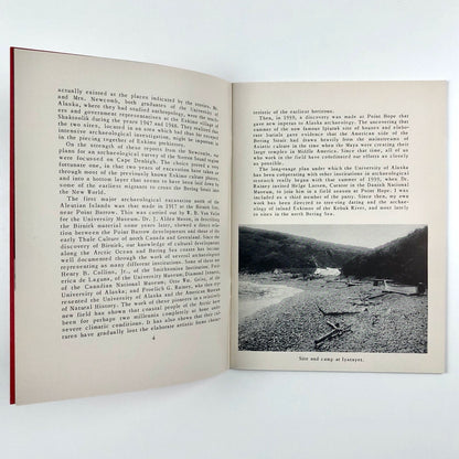 Bulletin University Museum, University of Pennsylvania, Vol XIV No 4, June 1950