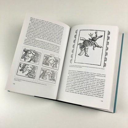 The Lives of Images by Peter Mason | Reaktion Books, 2001
