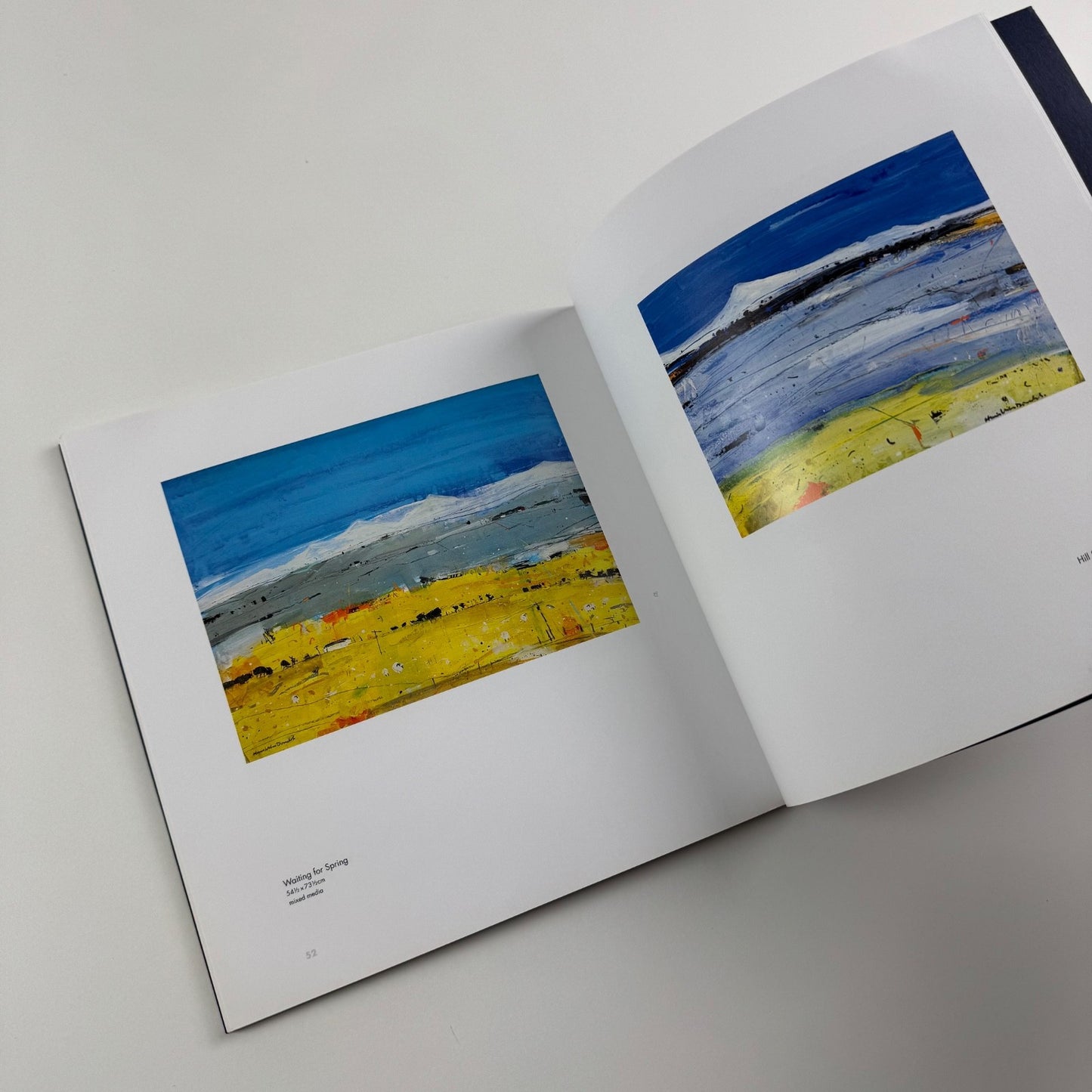 Hamish MacDonald. Barra and Beyond | Lemon Street Gallery, 2007