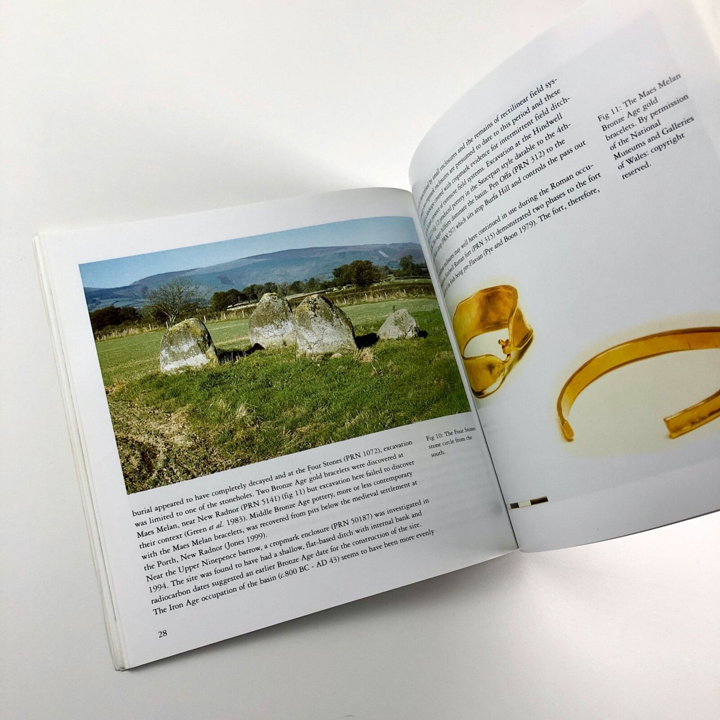 The Walton Basin – Survey at the Hindwell Neolithic Enclosure | Alex Gibson 1999