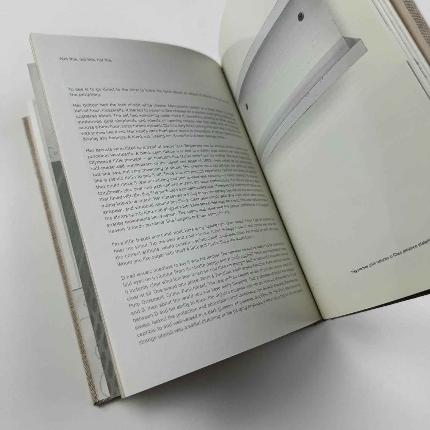 Mai-Thu Perret: 2012 | Timothy Taylor Gallery, London 2008 catalogue
