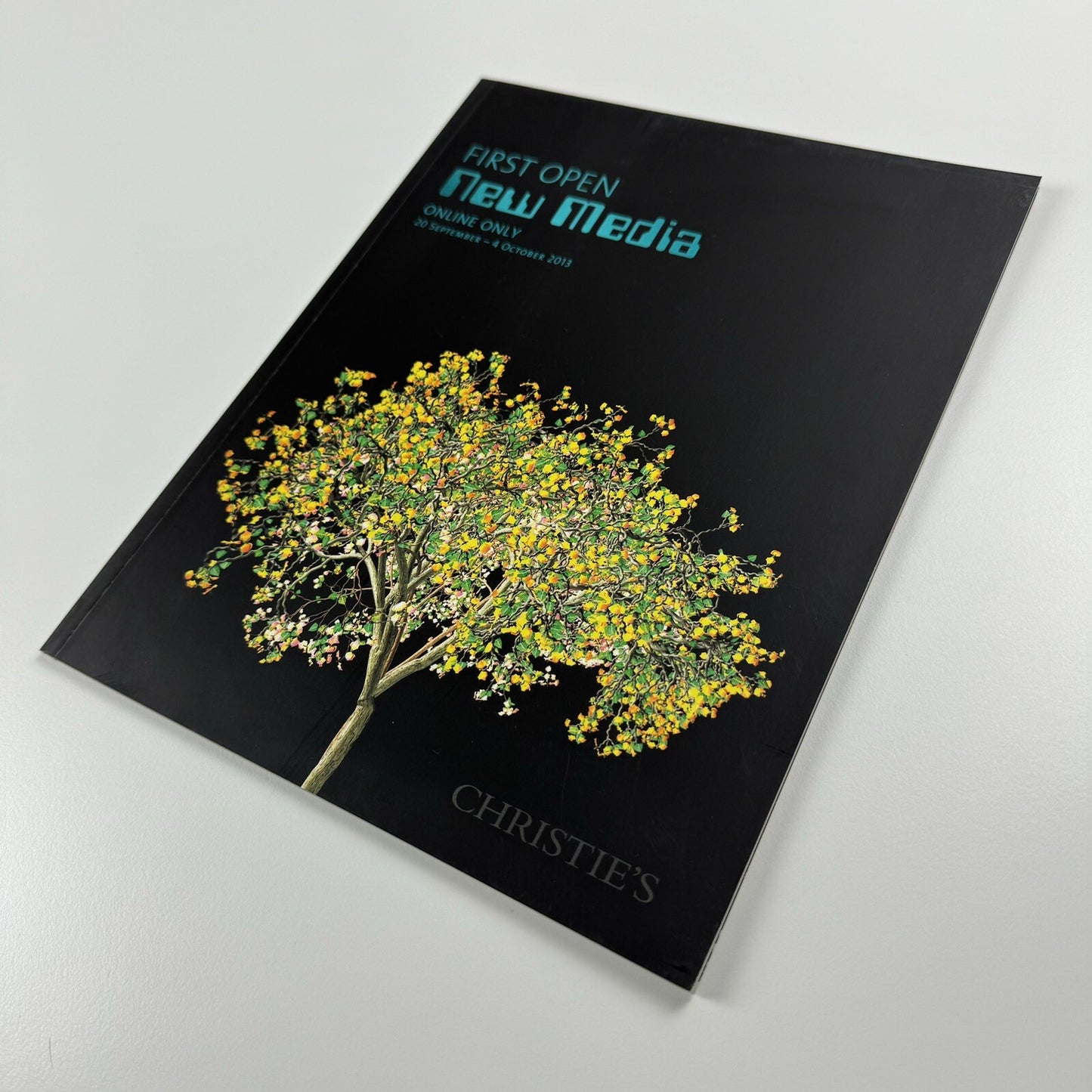 First Open. New Media online only | Christie's catalogue, 20 Sep to 4 Oct 2013