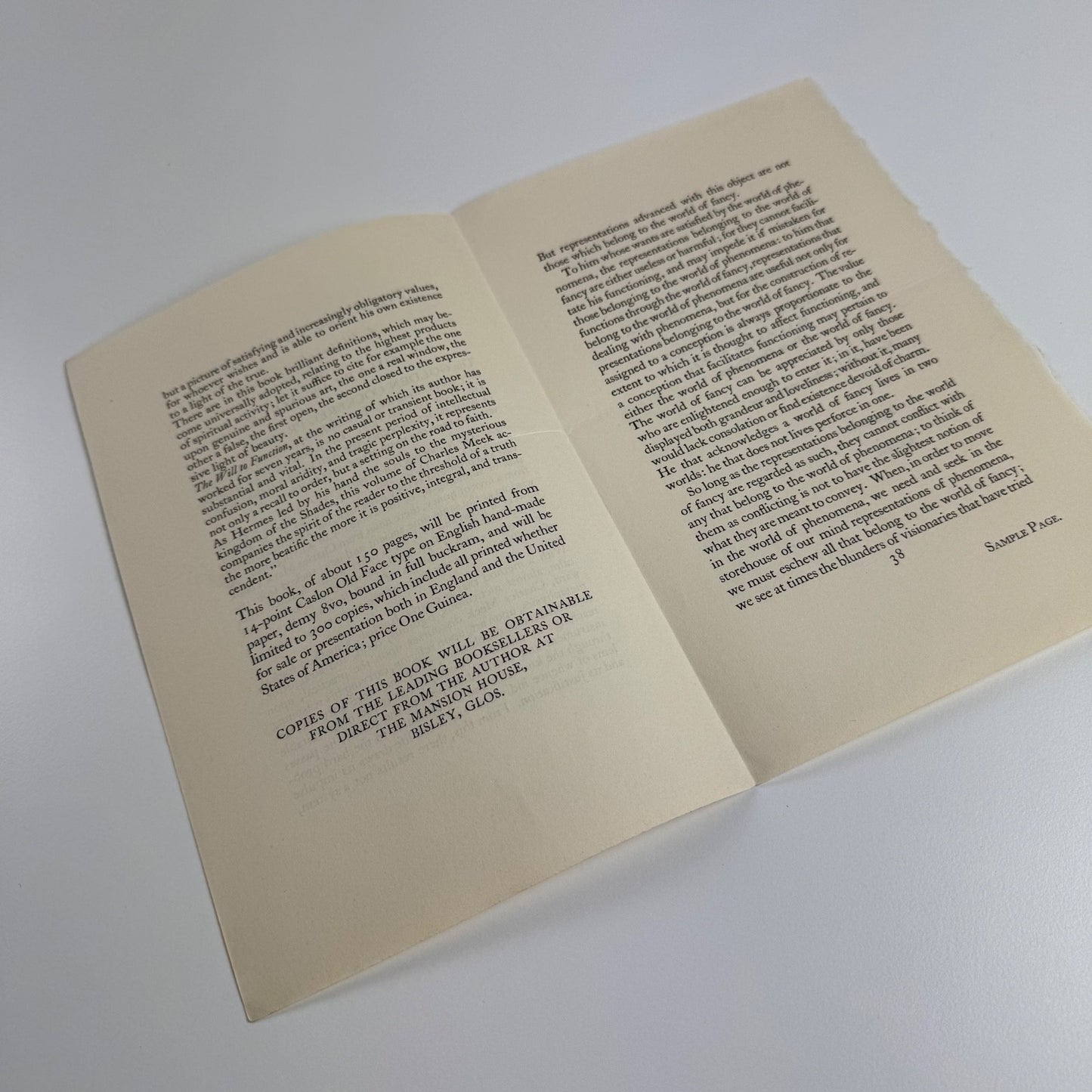 Prospectus for The Will to Function Charles Meek | Golden Cockerel Press, 1929
