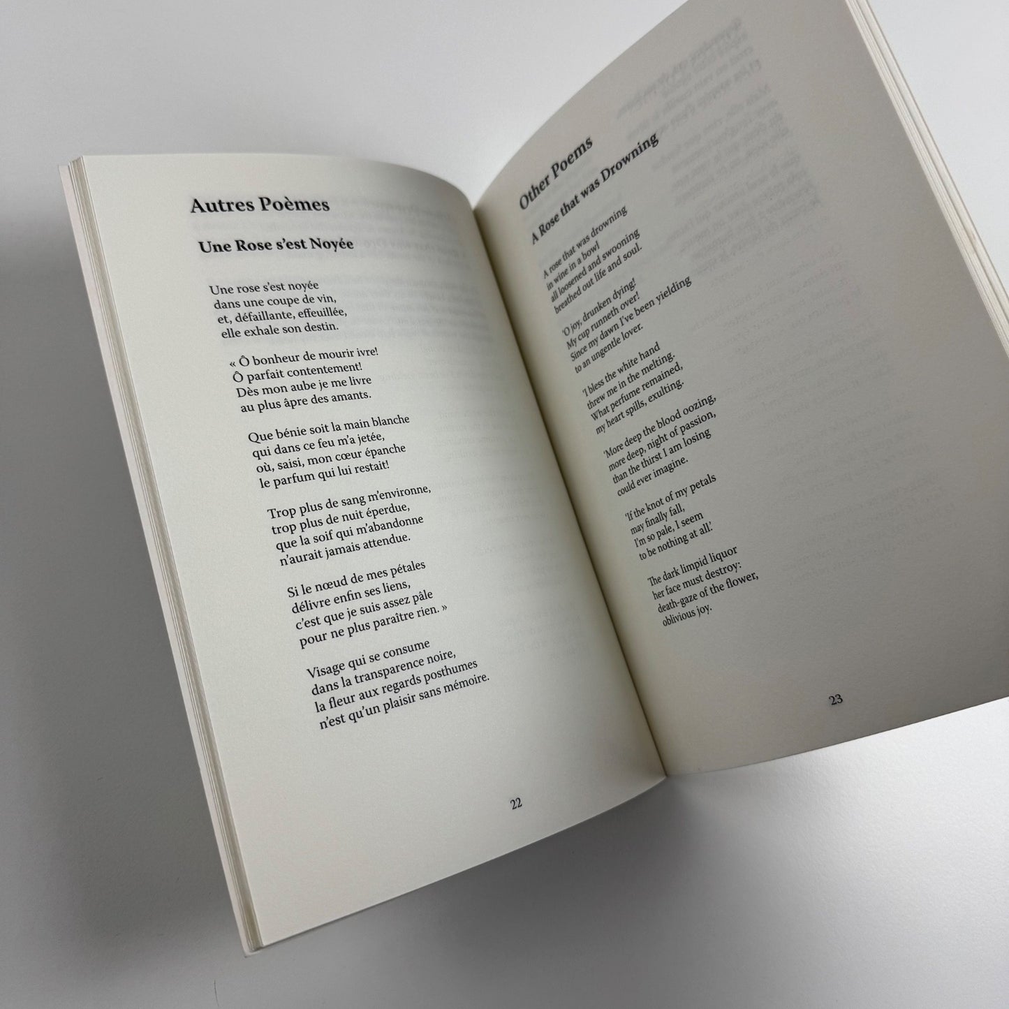 The Madness of Amadis and other poems by Jean Cassou | Agenda Editions, 2008