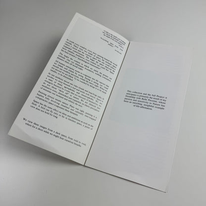 Leaflet R.O. Lenkiewicz. Landscape | Barbican Museum & Library Plymouth 1995