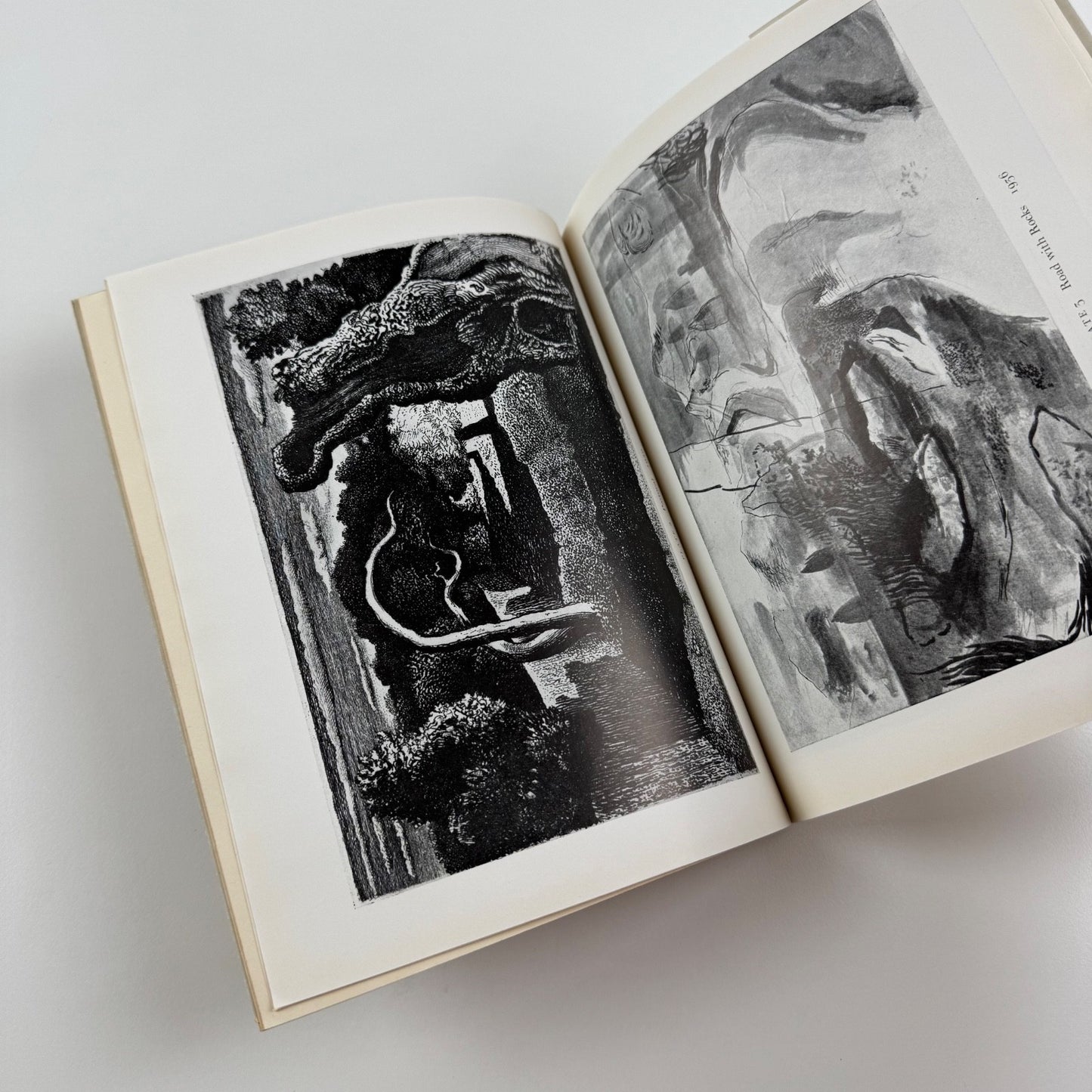 Graham Sutherland by Edward Sackville-West | Penguin Painters, revised 1955