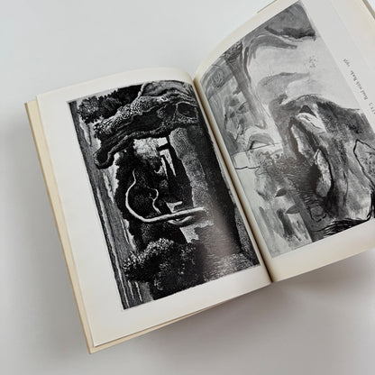 Graham Sutherland by Edward Sackville-West | Penguin Painters, revised 1955