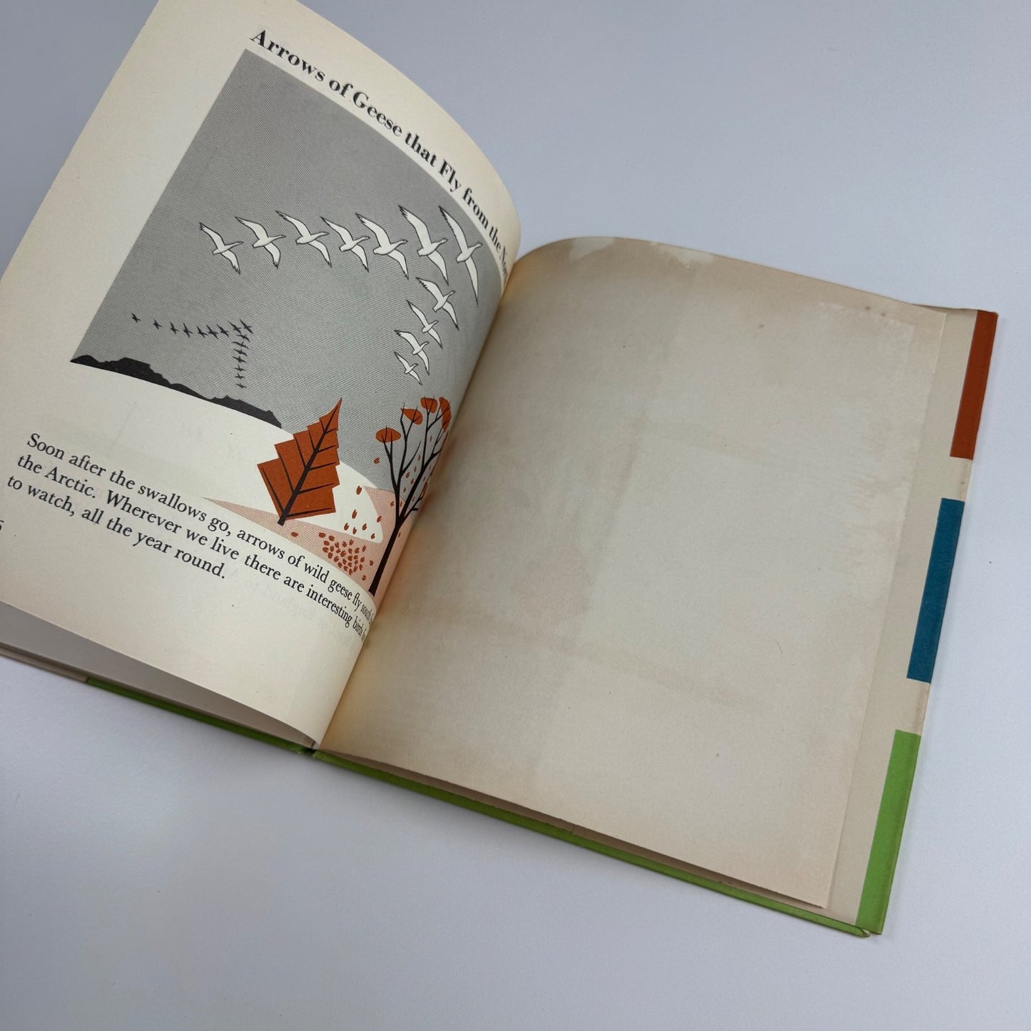 The Wonder World of Birds by Marie Neurath | Max Parrish, 1953 Isotype Institute