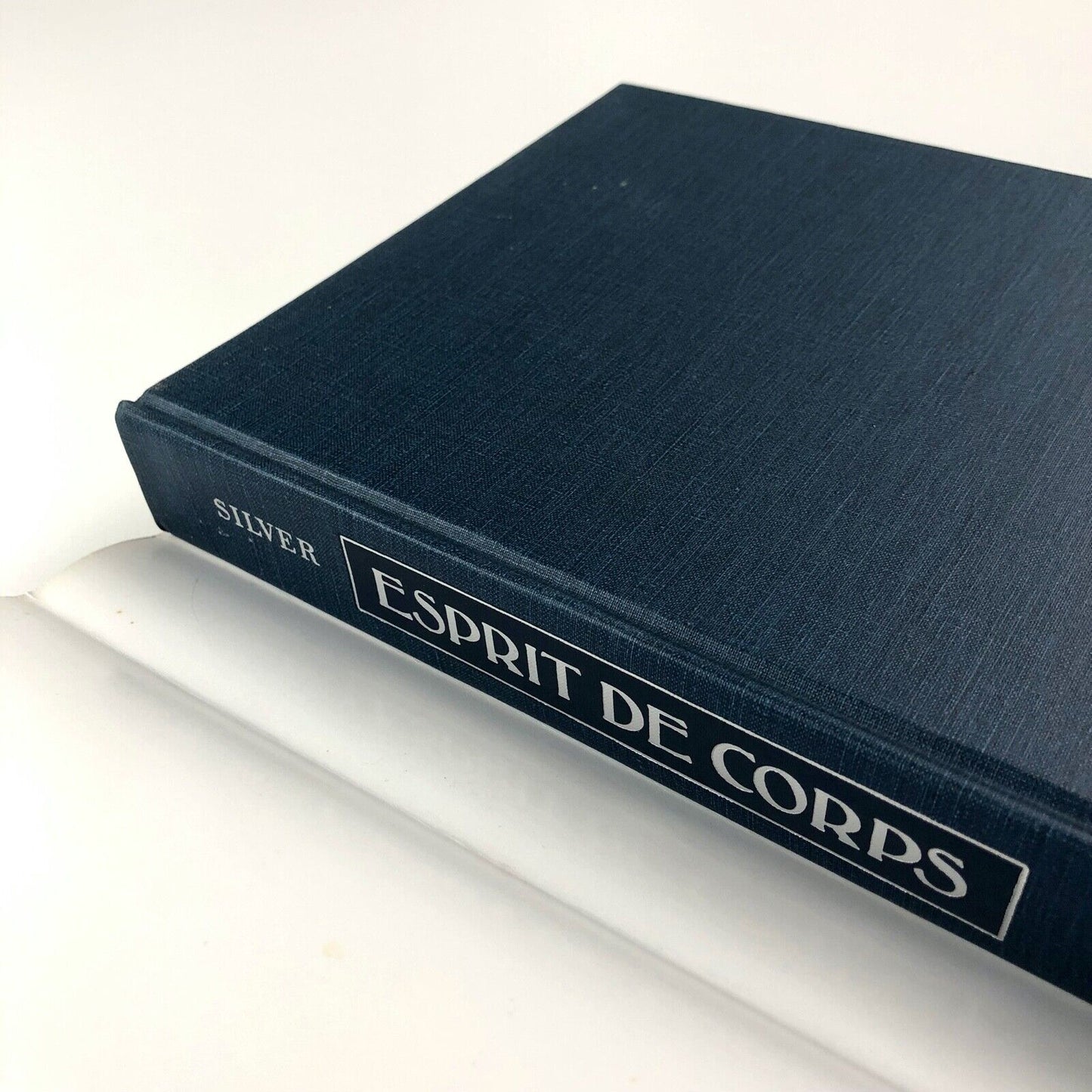 Esprit de Corps: The Art of the Parisian Avant-Garde... Kenneth E. Silver 1989