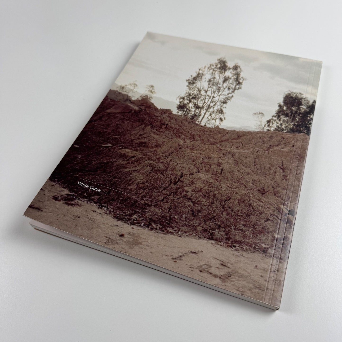 Damian Ortega. Nine Types of Terrain | White Cube, 2007