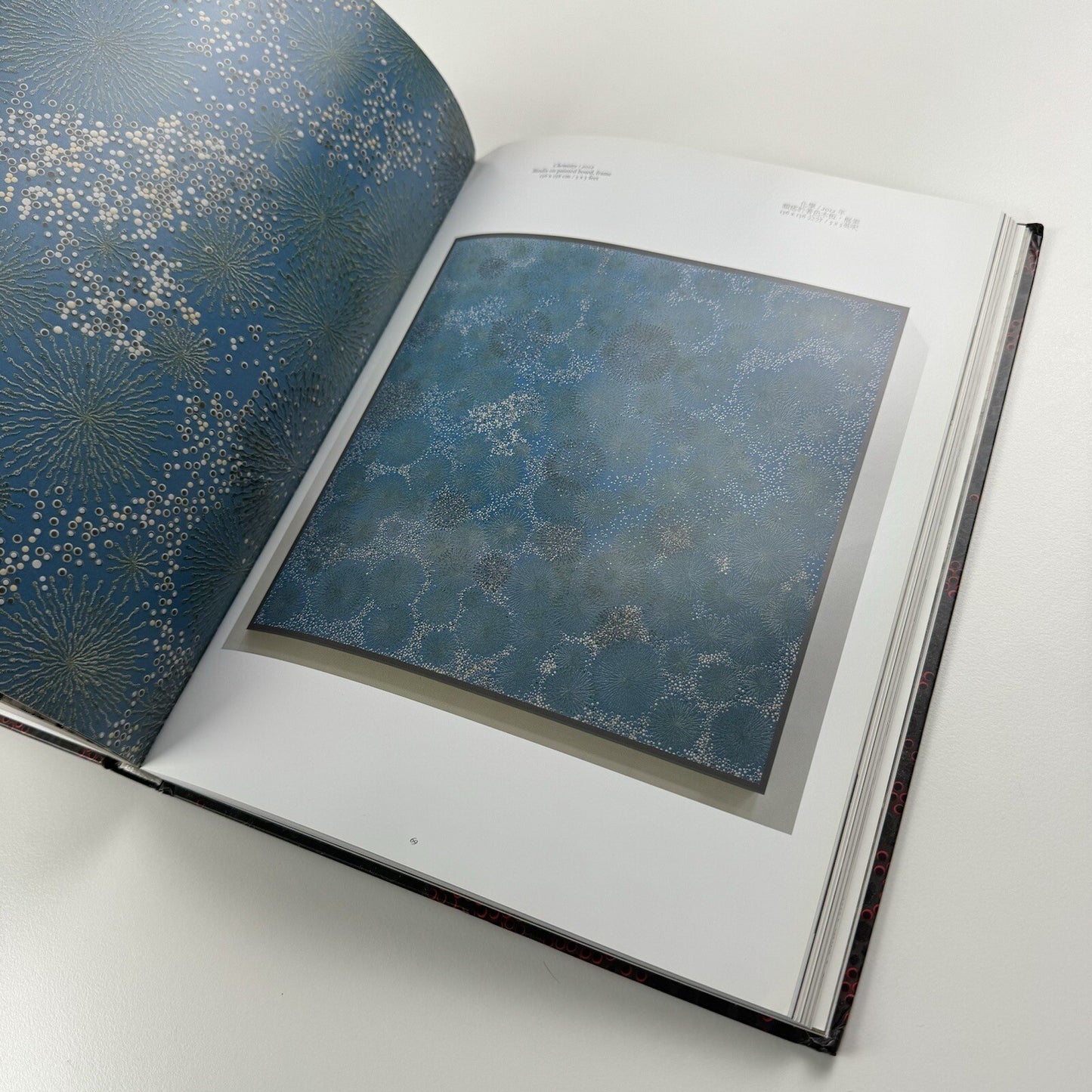 Bharti Kher – Blind, eyes open | Galerie Perrotin 2012 catalogue