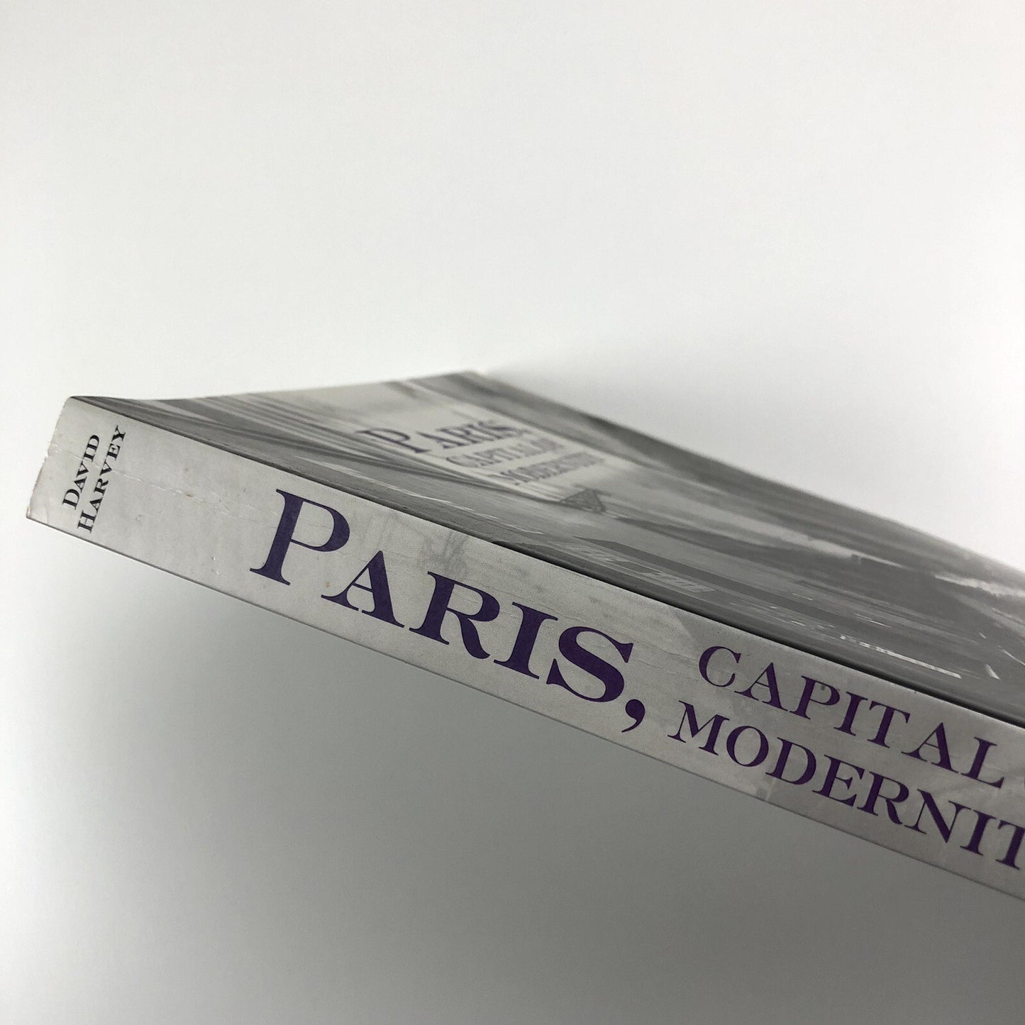 Paris, Capital of Modernity by David Harvey | Routledge, 2006 paperback