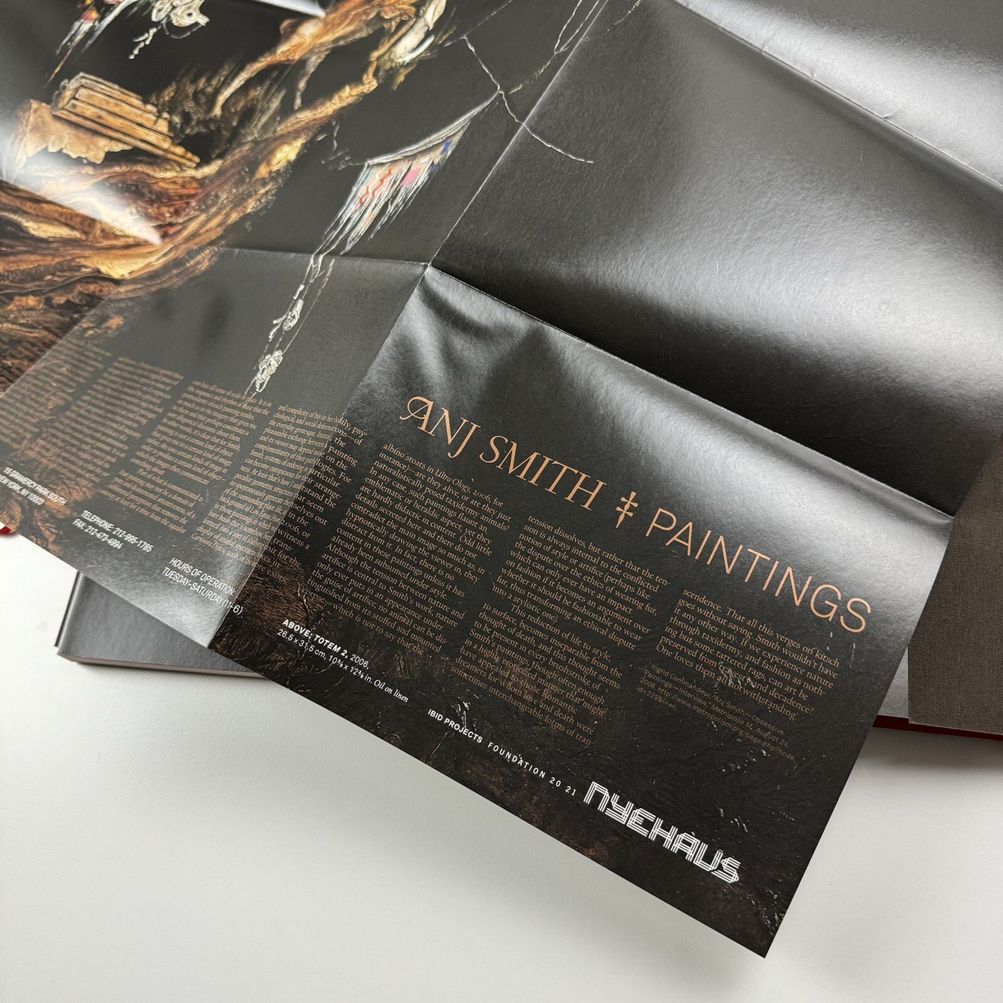 Anj Smith: Paintings | Anj Smith & Barry Schwabsky | Nyehaus and Foundation 20 21, 2007