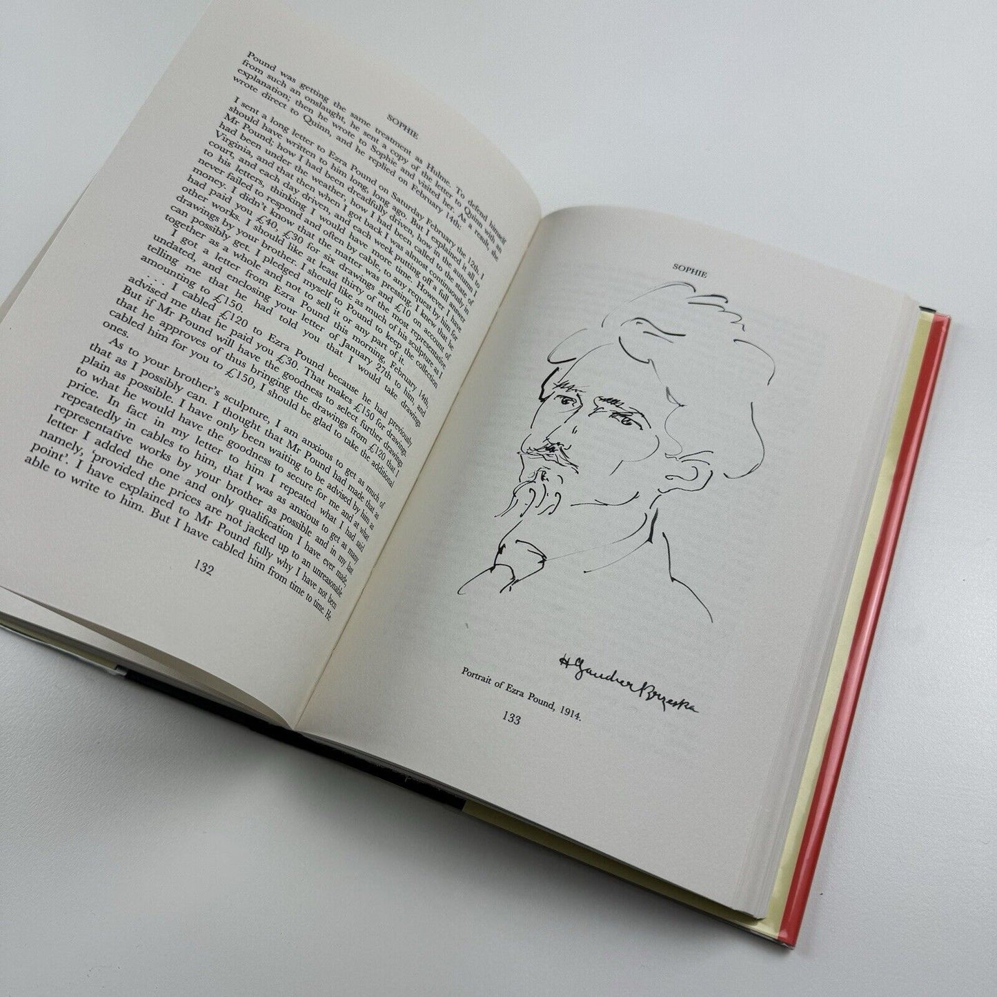 Gaudier Brzeska Artist and Myth by Roger Cole | Sansom & Company, 1995