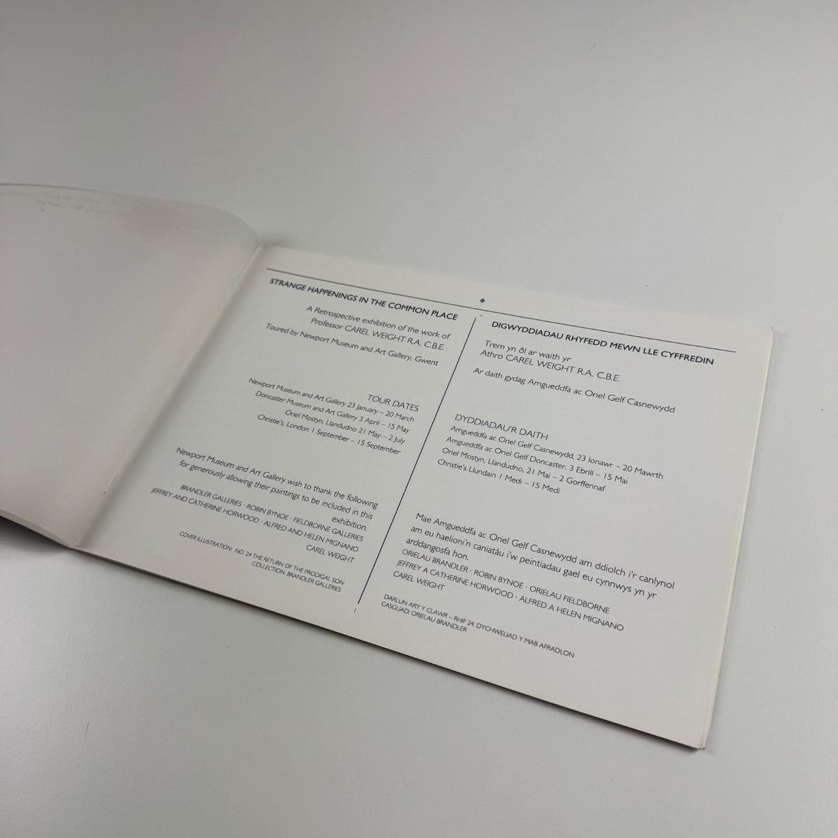 Strange Happenings in the Common Place. A retrospective exhibition of the work of Professor Carel Weight  | Newport Museum & Art Gallery, 1993