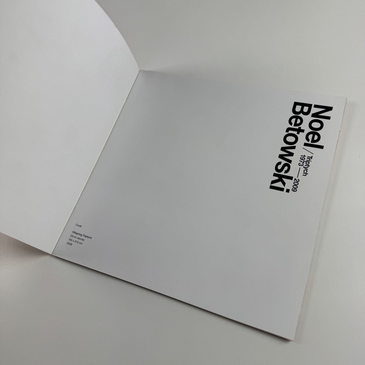 Catalogue for Noel Betowski. Triptych 1973-2009, privately printed, 2009