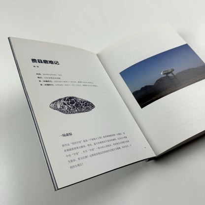 Zhan Wang. My Personal Universe | Ullens Center for Contemporary Art, 2011 catalogue