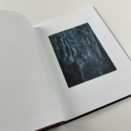 Damien Hirst. No Love Lost. Blue Paintings | Wallace Collection catalogue, 2009