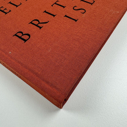 Antony Gormley Field for the British Isles 1996 |Edited by Oriel Mostyn  | Signed by the artist