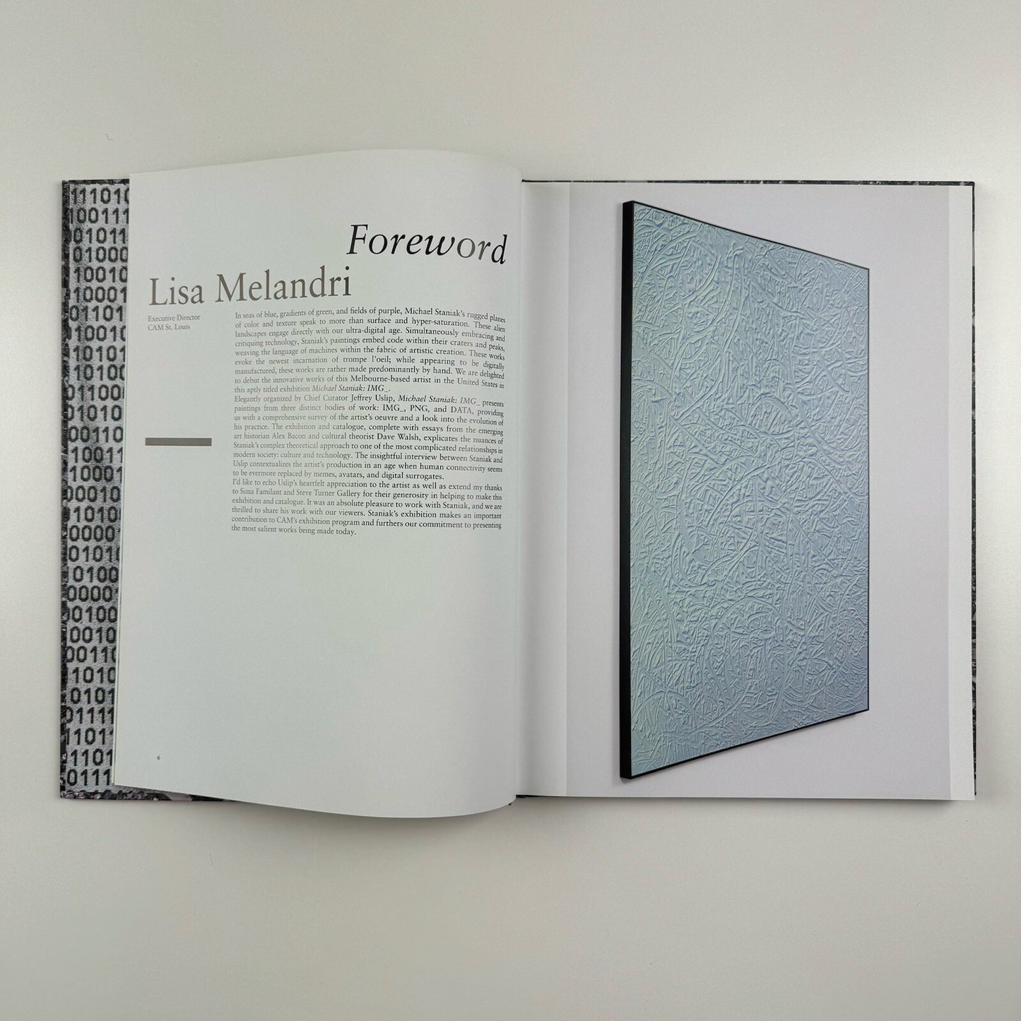 Michael Staniak. IMG | Contemporary Art Museum St Louis | 2015 exhibition catalogue