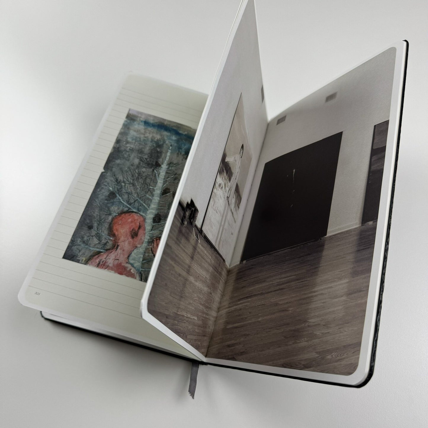Enrique Martínez Celaya: Another Show for the Leopard Baldwin Gallery | 2007 exhibition catalogue