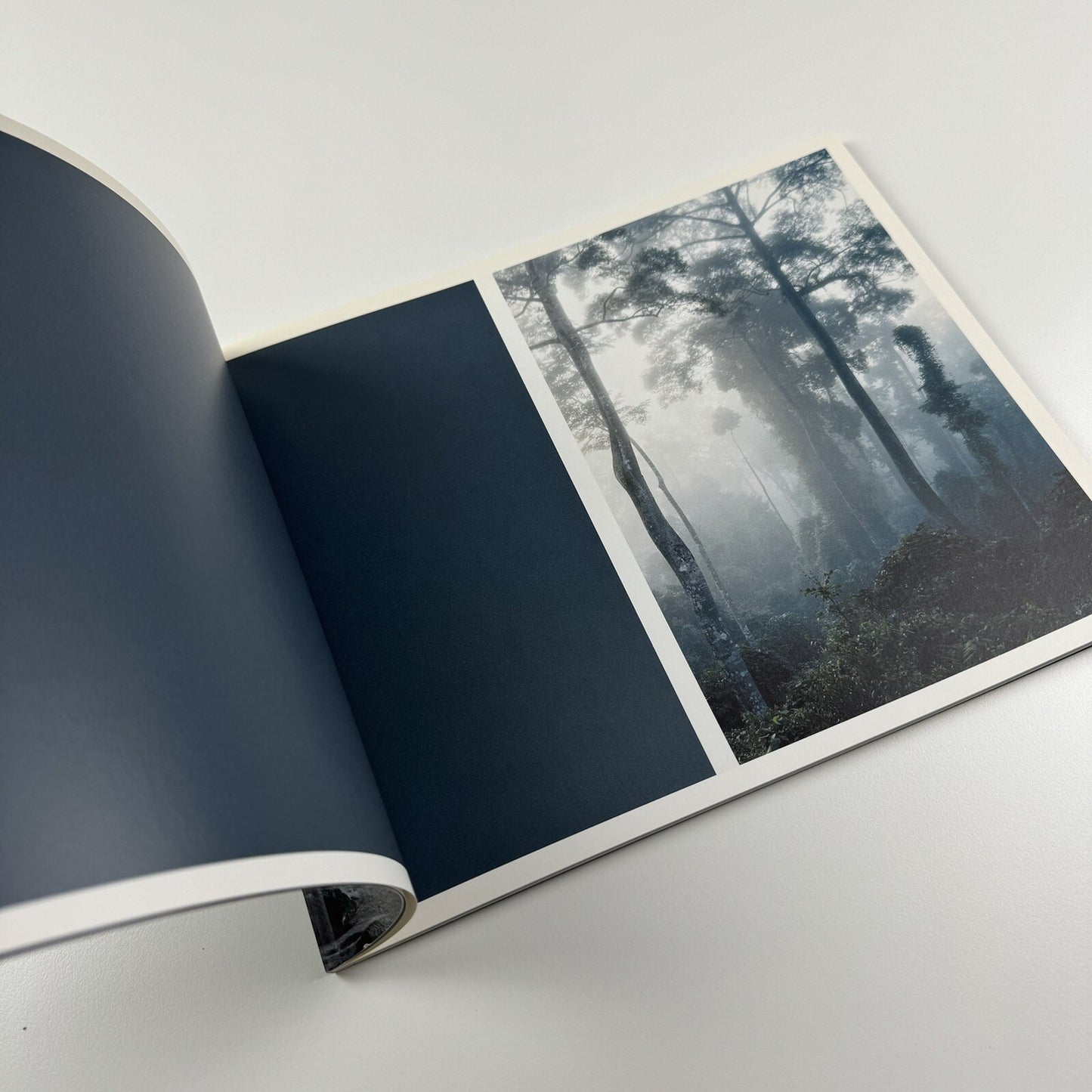 Axel Hütte. Out of Darkness | Waddington Galleries London, 2009 catalogue