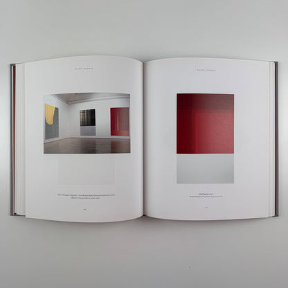 Rachel Howard | Blain Southern, 2011