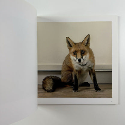 Sam Taylor-Wood – Yes I No. | White Cube catalogue, 2008