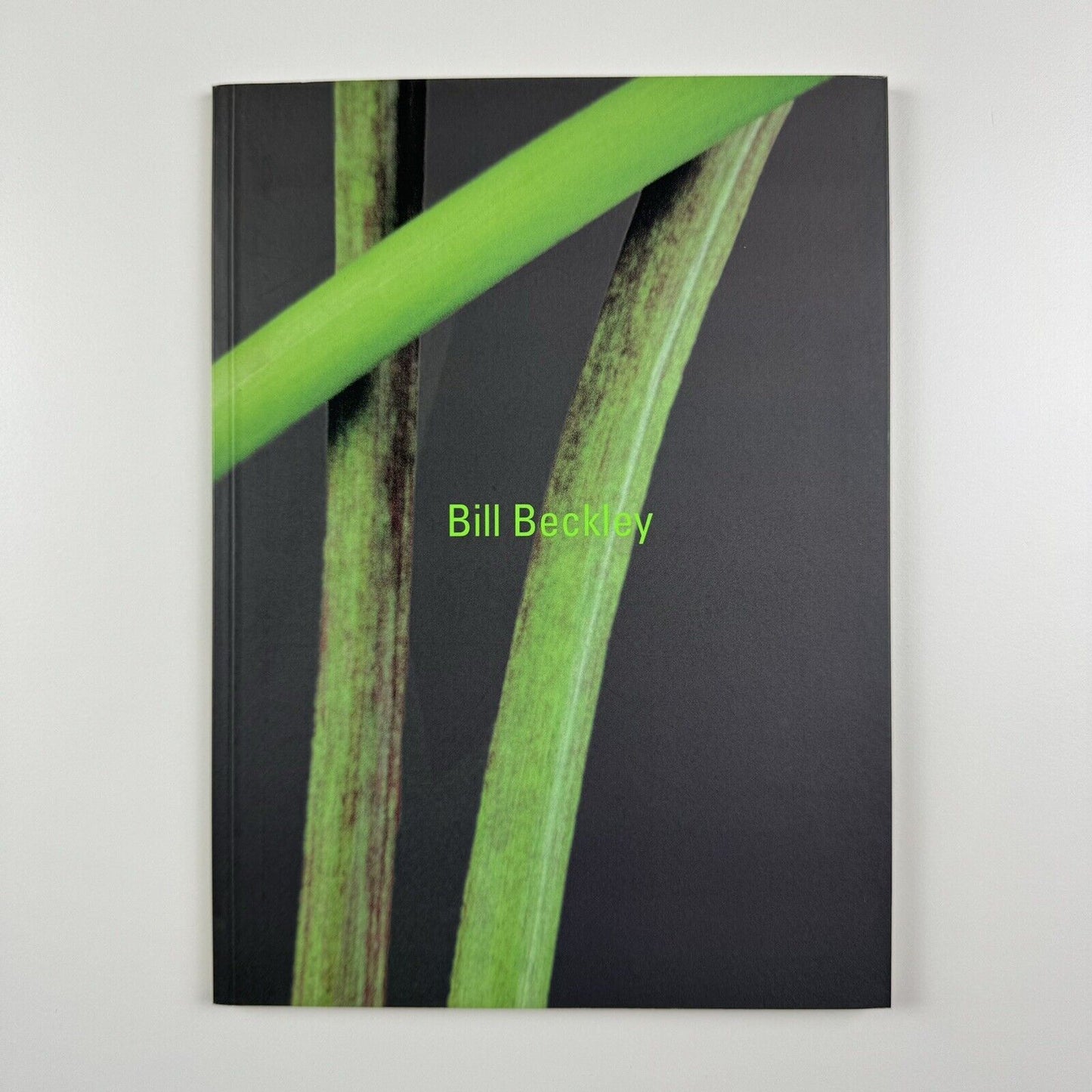 Bill Beckley | Galerie Hans Meyer exhibition catalogue, 2003