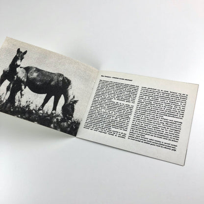 The Unemployed Works – An Intervention by Frederick Bell & Marc Schepers | Exhibition leaflet, Thibaut Verhoeven in 2004