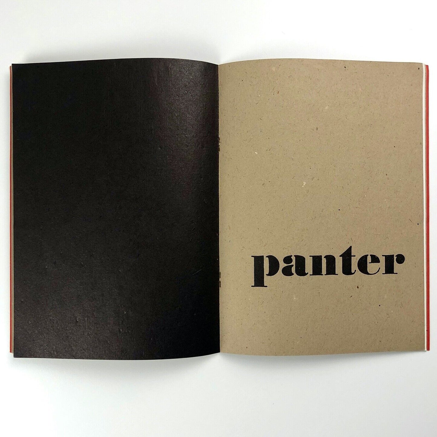 [Avigdor] Arikha – Panter | Stedelijk Museum exhibition catalogue no. 248, 1960