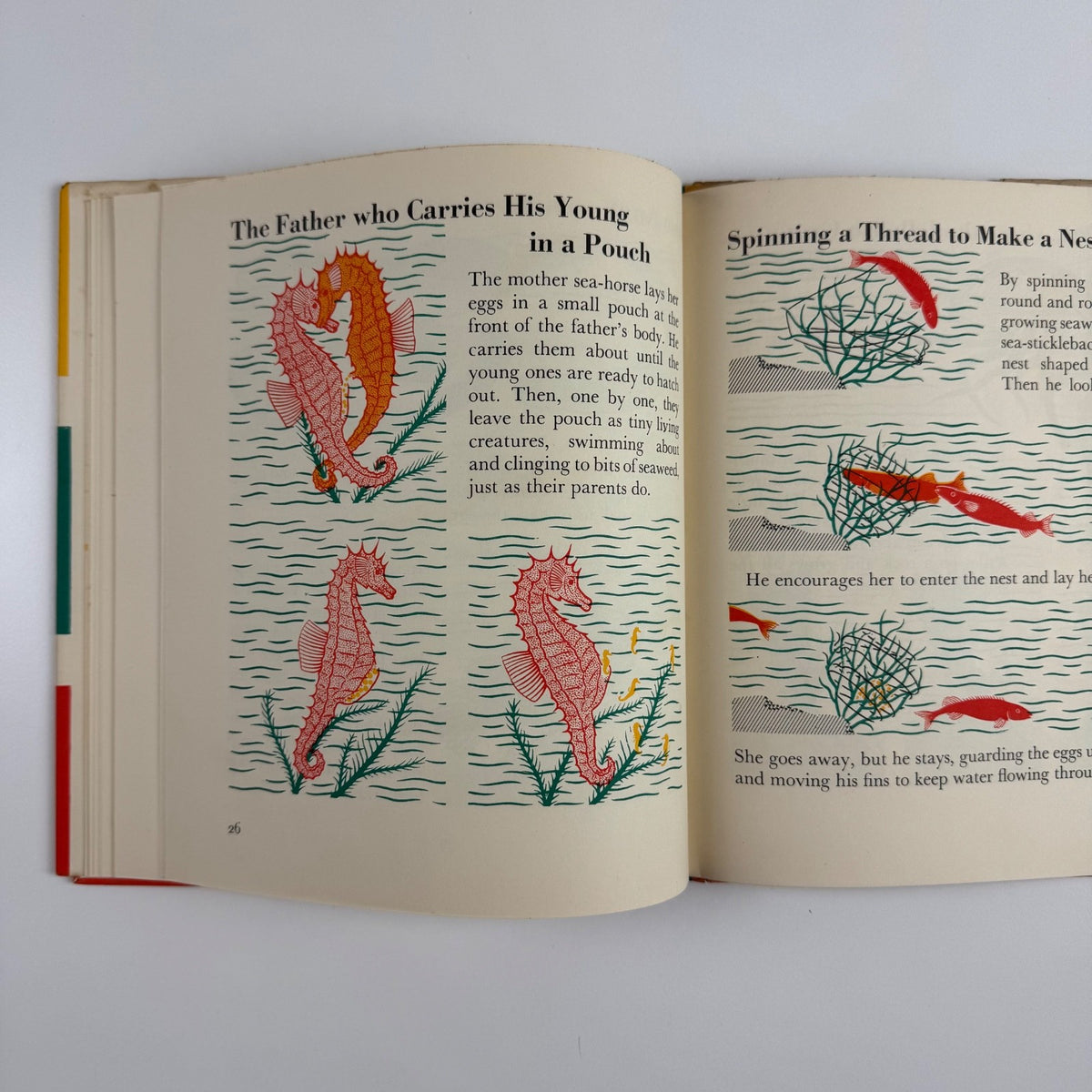 The Wonder World of the Seashore Marie Neurath, Max Parrish second edition Isotype Institute