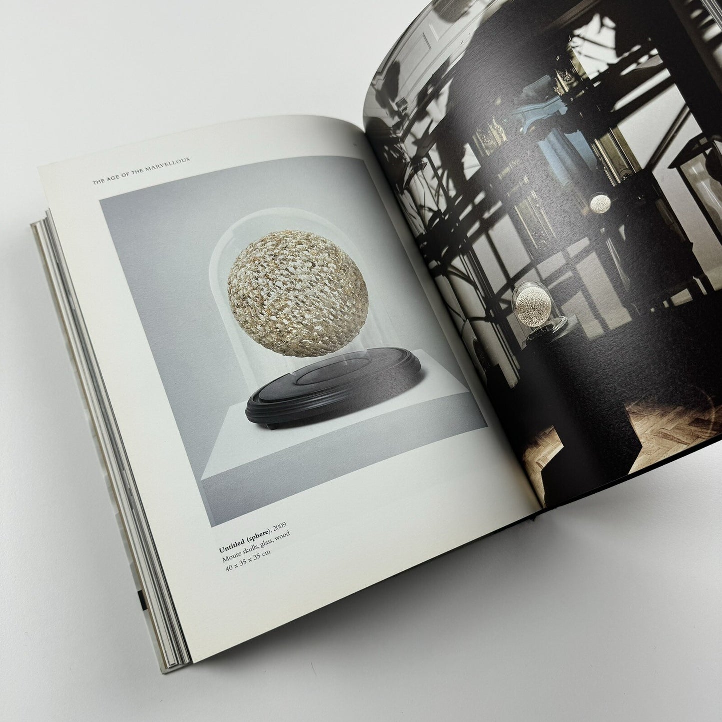 The Age of the Marvellous | One Marylebone Road | All Visual Arts catalogue, 2009 | Text by Joe Le Placa and John Paul Pryor