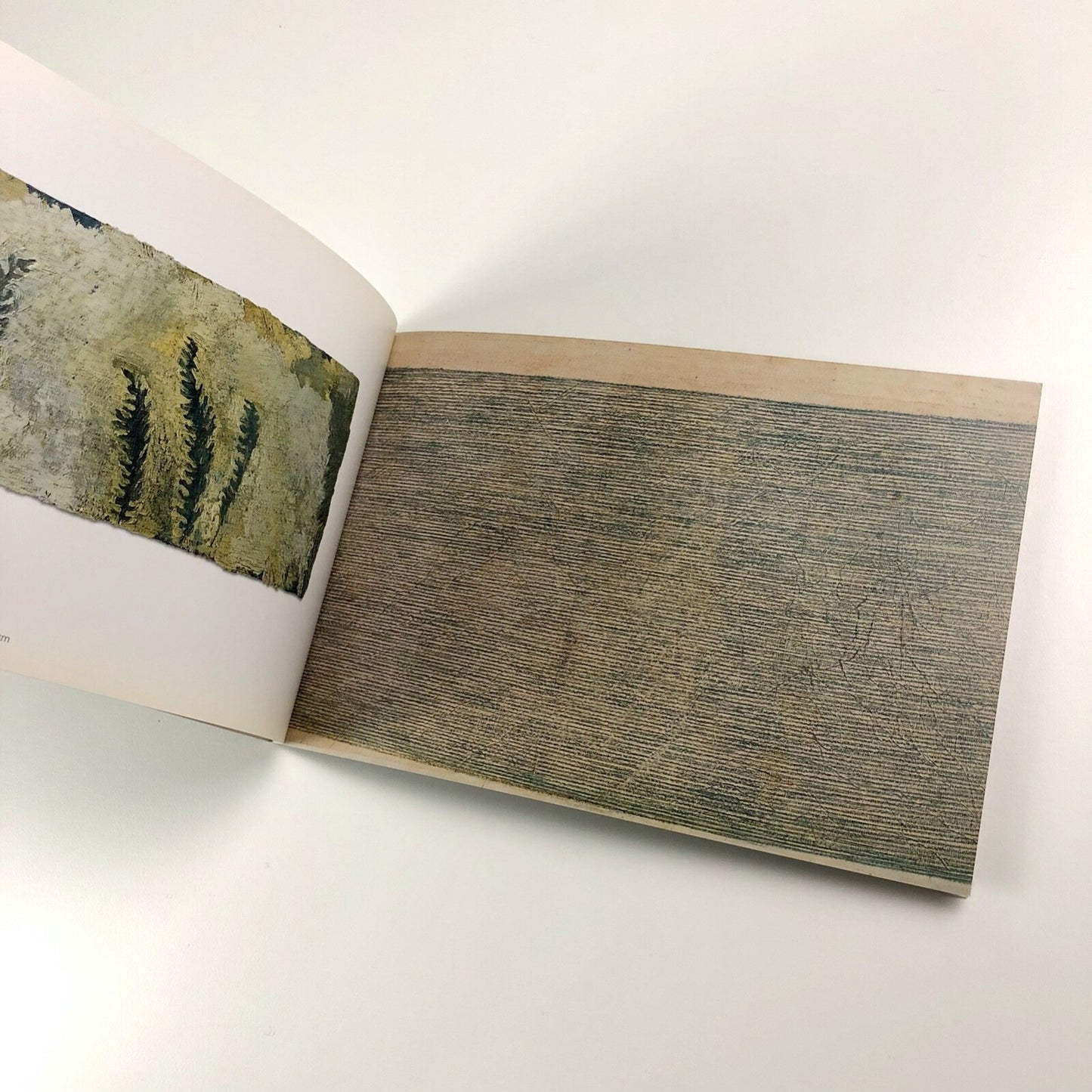 Pamela Burns | Jonathan Clark Fine Art, undated catalogue