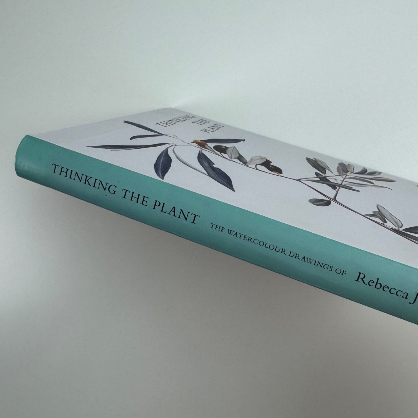 Thinking the Plant. The watercolour drawings of Rebecca John | Pimpernel Press, 2020