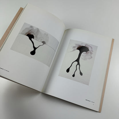 Ernesto Neto. naves, céus, sonhos | Galeria Camargo Vilaça catalogue, 1999