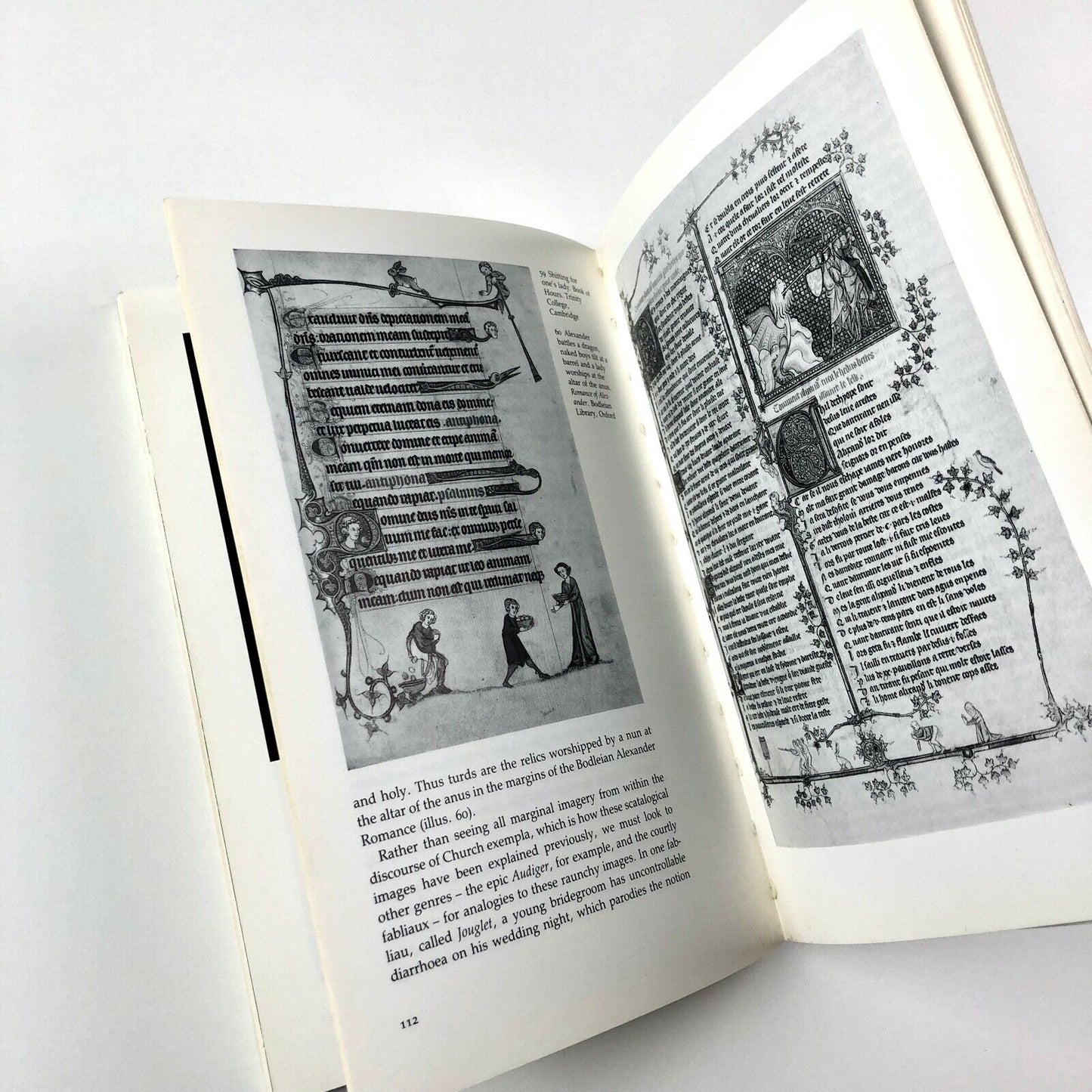 Image On The Edge: The Margins of Medieval Art | Michael Camille, 1992