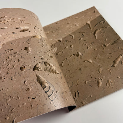 Null Object. Gustav Metzger thinks about nothing | Black Dog Publishing, 2012