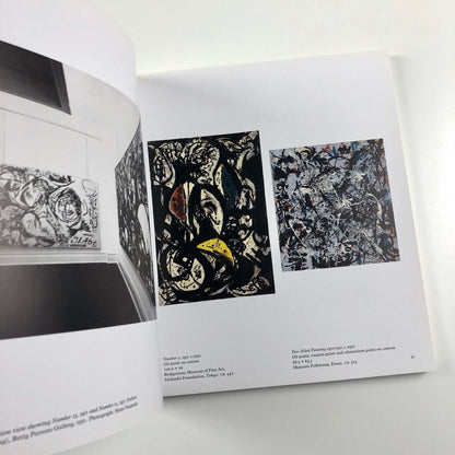 Jackson Pollock – Blind Spots | Tate, 2015 | Edited by Gavin Delahunty