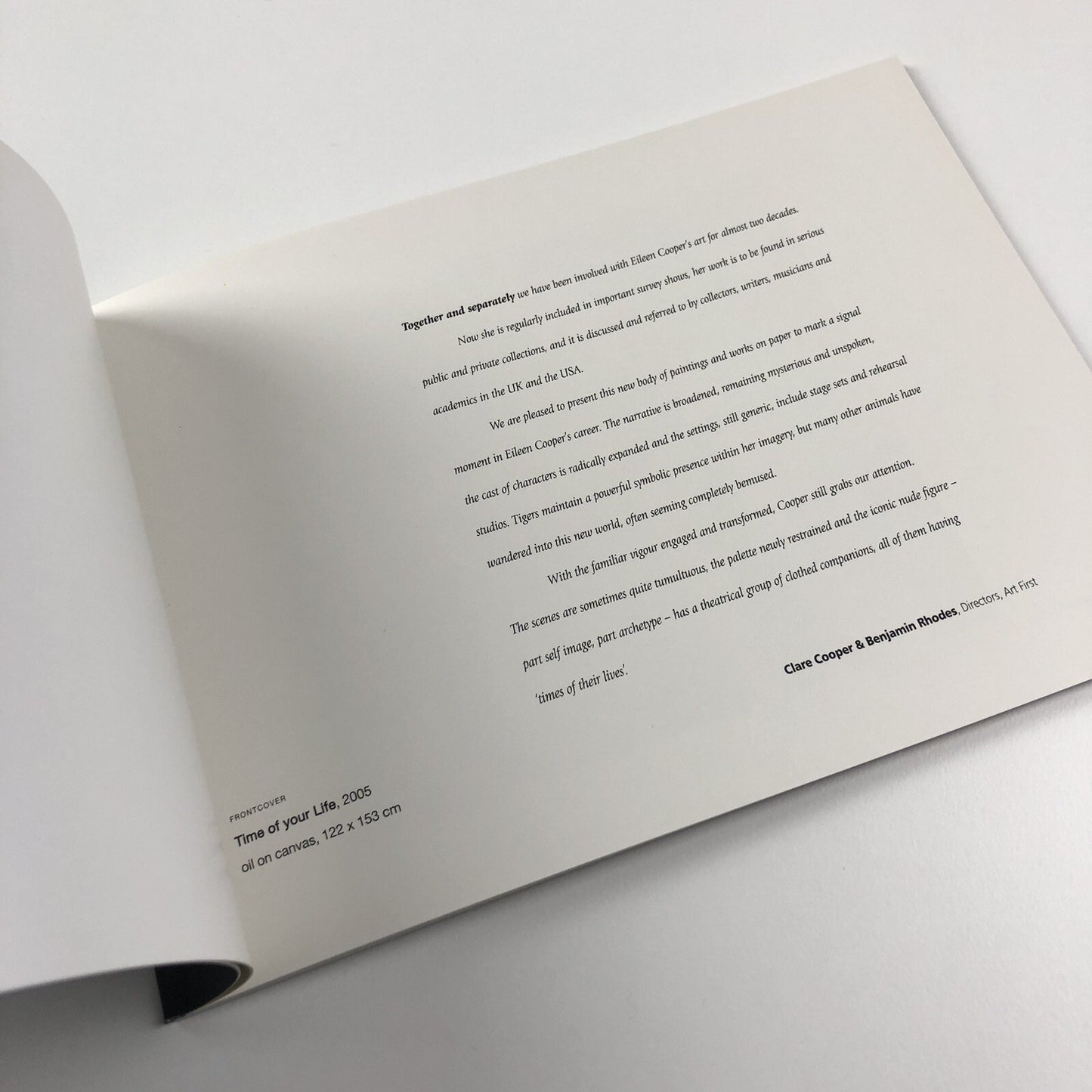 Eileen Cooper – Time of Your Life | Art First Contemporary Art exhibition catalogue, 2005
