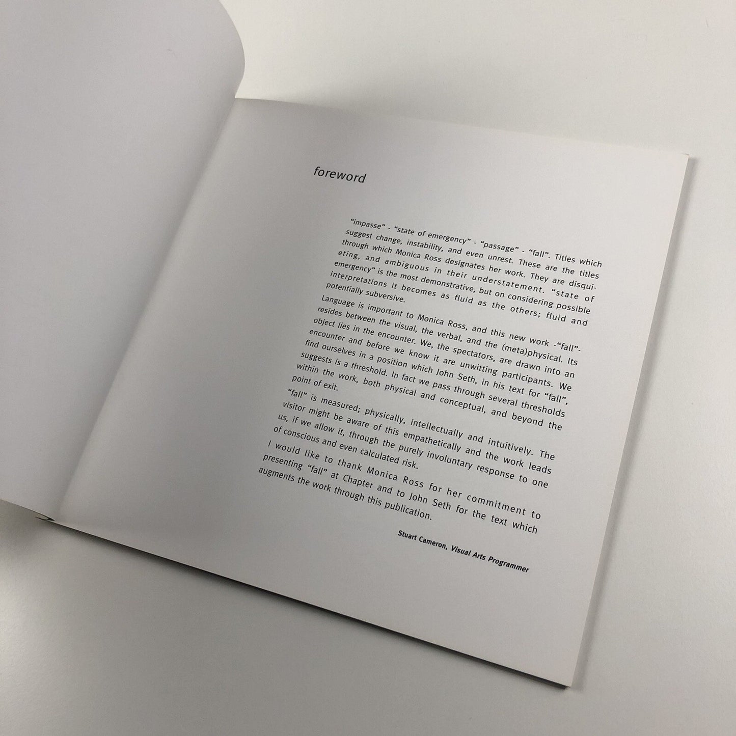 Fall. Monica Ross | Chapter, Wales 1994 exhibition catalogue
