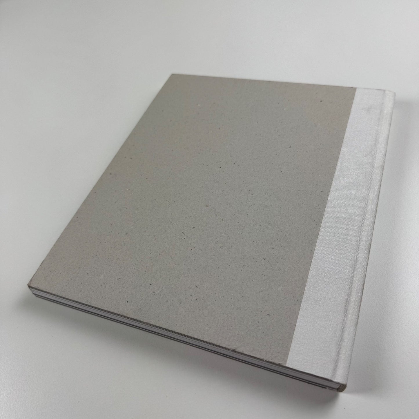 Anthony James. Morphic Fields - Skulpturen | Hatje Cantz, 2014